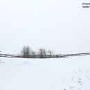 삼영목장 이미지