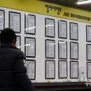 세종고용복지플러스센터 이미지