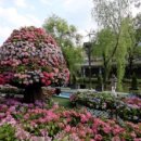 도림천 산책로5 이미지