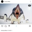 히노스시 이미지