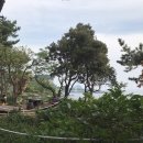 제주 올레길 7코스 이미지