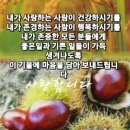 Re: [컬럼] 최고 아름다운 단어 "사랑" 이미지