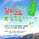 달마고도 이미지