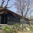 충북 괴산군 감물면 뭐하농하우스 자연+커피맛집 내돈내산 후기