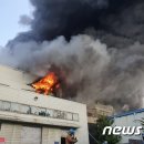 남동51 이미지
