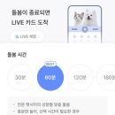 고양이두마리 와요펫시터 고양이돌봄 내돈내산 서비스 2일 이용 솔직 리뷰
