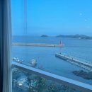 부엉이호텔 이미지