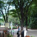 도쿄25 - 긴자를 구경하며 YMCA를 보고 지브리에 가다! 이미지