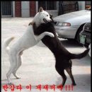 끼리끼리 이미지