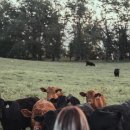 과일Farm