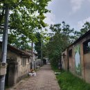 (주)익선다다