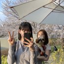 카페레브 이미지