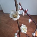 차를꿈꾸다 - 창원시 마산회원구 315대로 584 | 차를꿈꾸다