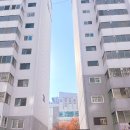 한성마트(1차) | 하수구 트랩 들어있던 광주 월곡동 변기 역류막힘 I 광산구 한성아파트 화장실 뚫음 신속히