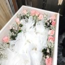 윤서병원 | 윤서병원장례식장 음식과 비용에 대한 상세 분석