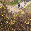 피기피기 이미지