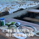 한림PC | 애월흑돼지 돈해상 제주한림협재흑돼지 오션뷰 야장 맛집