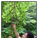 수산리마을회관 이미지