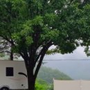 러빙네이쳐 이미지