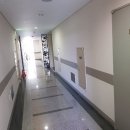 대덕초등학교도룡분교장 이미지