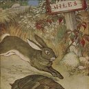 토끼와거북이 이미지