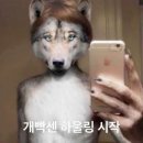 진경, 춤추는 사람들 | 지능0모드 ON