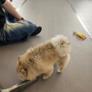 간식놀이터 이미지