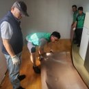 효성1동 이미지