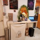 신기루 | 합정역방탈출 도어이스케이프 홍대점 신기루 체험 후기