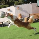 봉주르봉구 이미지