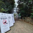 아침목장 | [제주 카페]🌿 제주도 카페 추천 "아침미소목장" 제주 목장카페 내돈내산 솔직후기
