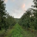 자운농장 이미지