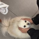 왕초보 오일파스텔 플라워 드로잉 | 초보자도 부담없이 할 수 있는 성신여대 드로잉카페 빛의 화실