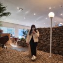 페리카나치킨3분점 | 일개미 일기(02.20-03.06)