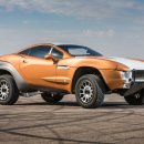 로컬 모터스 이미지