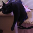 온리누스 이미지