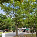 보훈공원 화장실 이미지