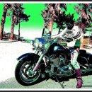 제주오리엔탈 이미지