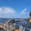 호미반도해안둘레길 이미지