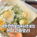 꼰띠고플로라 이미지