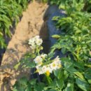 주완농장 이미지