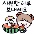 포항월드킹월드킹