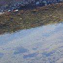 양양군웰컴센터 이미지