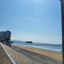 율촌도서관 | 여수여행 가볼만한곳 예술의섬 장도 남파랑길 55코스 힐링산책