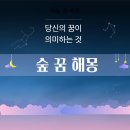 숲속의꿈