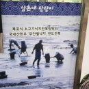 삼촌네탕탕이