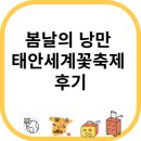 봄날의 낭만, 태안세계꽃축제 후기 🌷 직접 다녀온 튤립 천국의 이야기