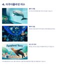 여수 여행! 후회 없는 필수 코스 &amp; 가볼만한곳 (숙소, 맛집 정보 포함)