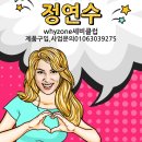 와이존 세비클럽 이미지