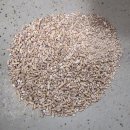 진정주약국 이미지